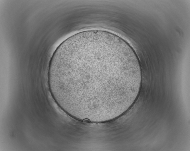 X0000112781534200909101601