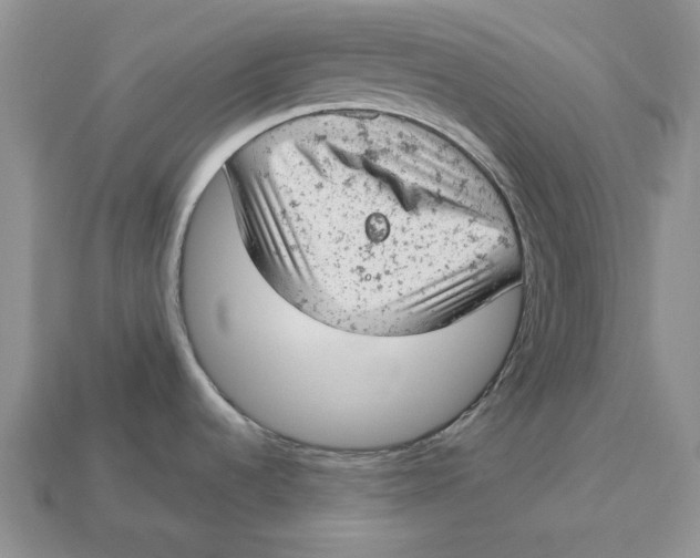 X0000112781536200909101601