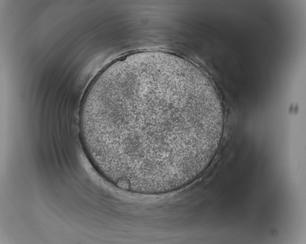 X0000112780002200909171347