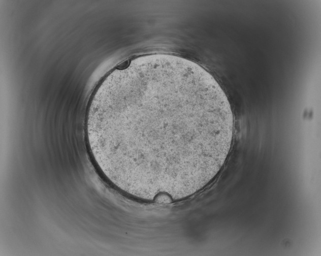 X0000112780004200909171347