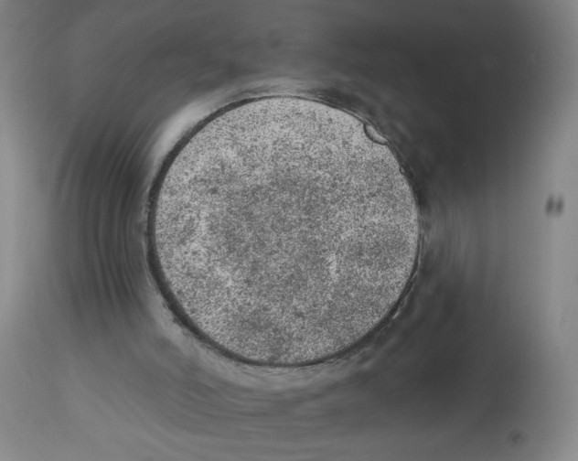 X0000112780006200909171347