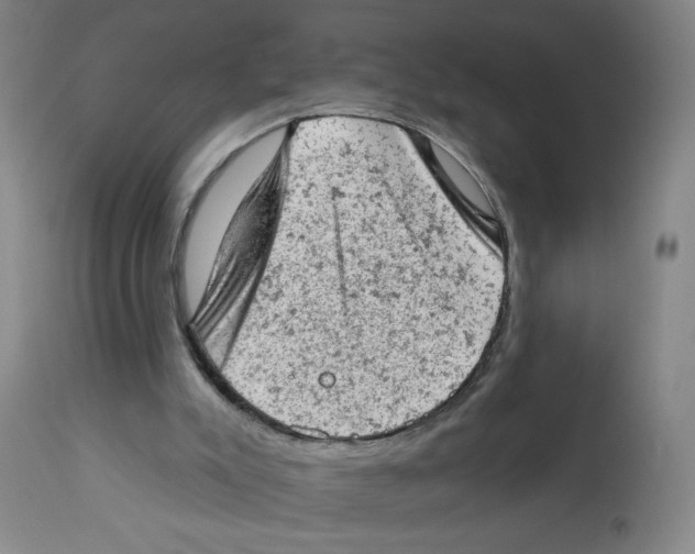 X0000112780007200909171347