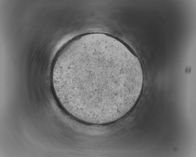 X0000112780008200909171347