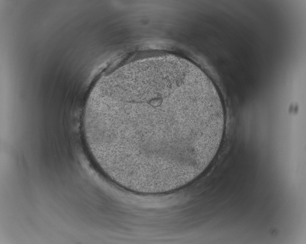 X0000112780010200909171347