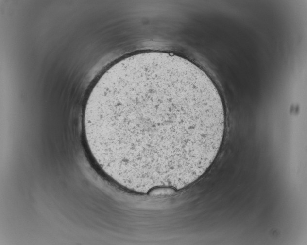 X0000112780011200909171347