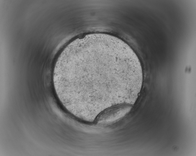 X0000112780012200909171347