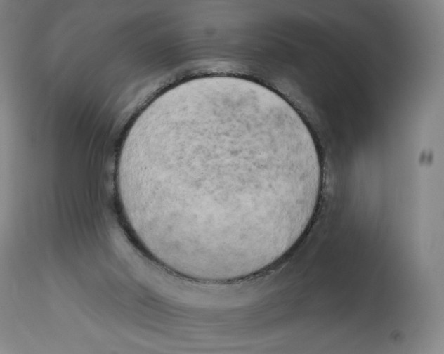 X0000112780014200909171347