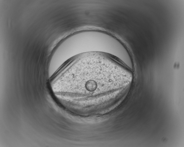 X0000112780015200909171347