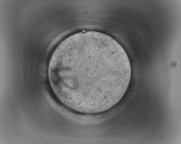 X0000112780016200909171347