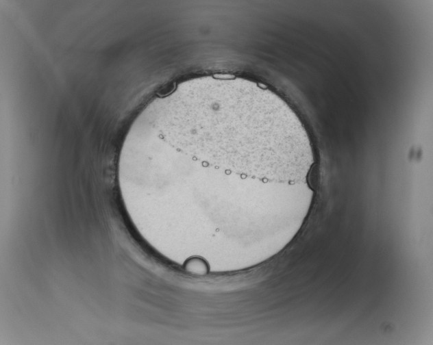 X0000112780017200909171347