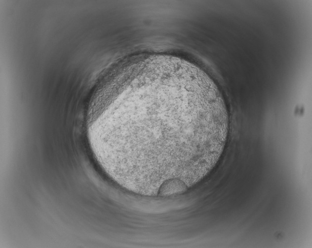 X0000112780018200909171347