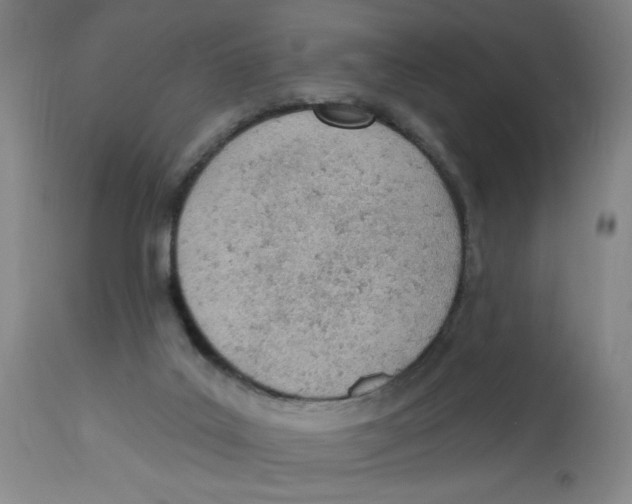 X0000112780019200909171347