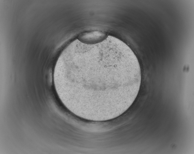 X0000112780020200909171347