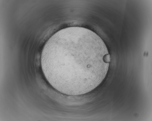 X0000112780022200909171347