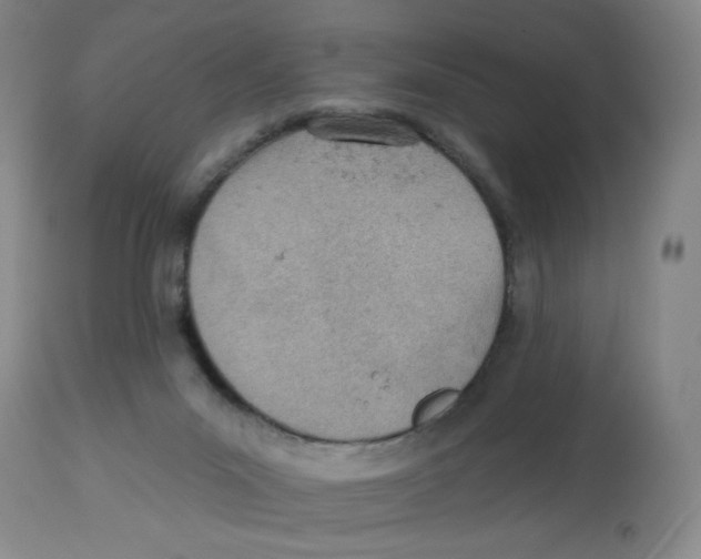 X0000112780023200909171347