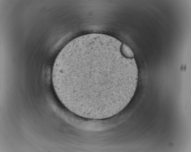 X0000112780024200909171347