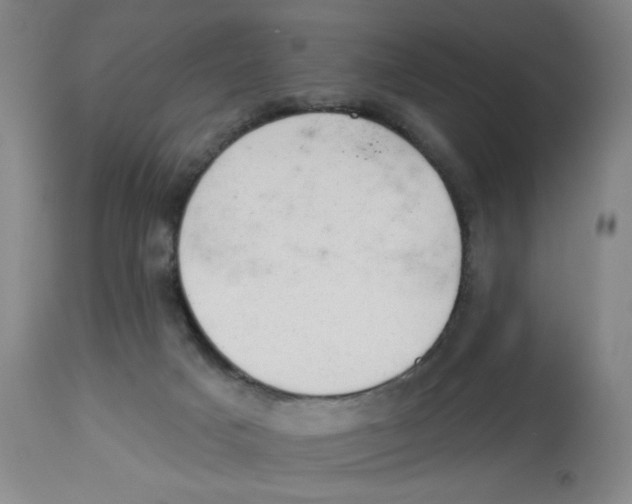 X0000112780025200909171347