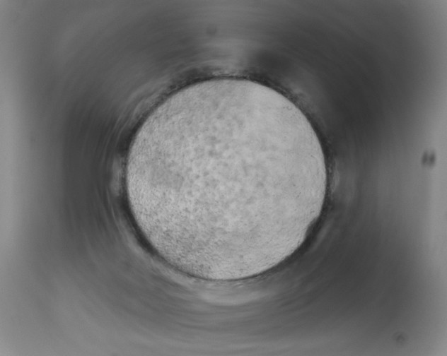 X0000112780026200909171347