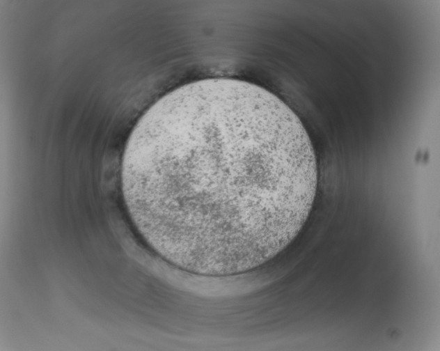 X0000112780030200909171347