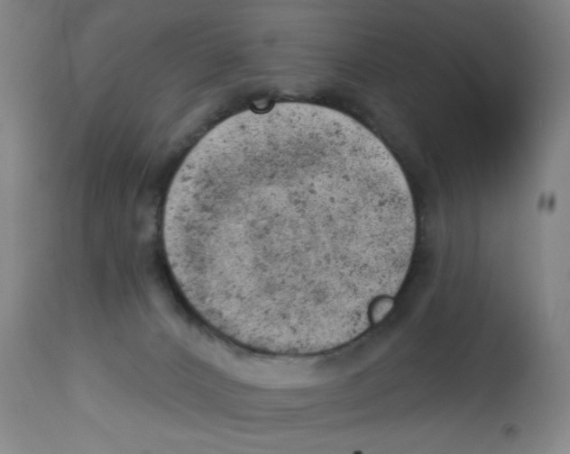 X0000112780032200909171347