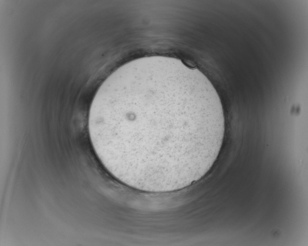 X0000112780033200909171347