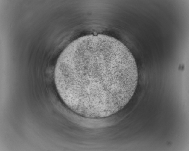 X0000112780034200909171347