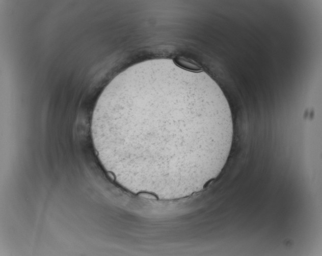 X0000112780037200909171347