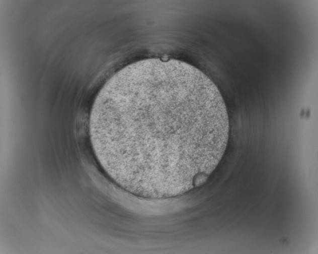 X0000112780038200909171347