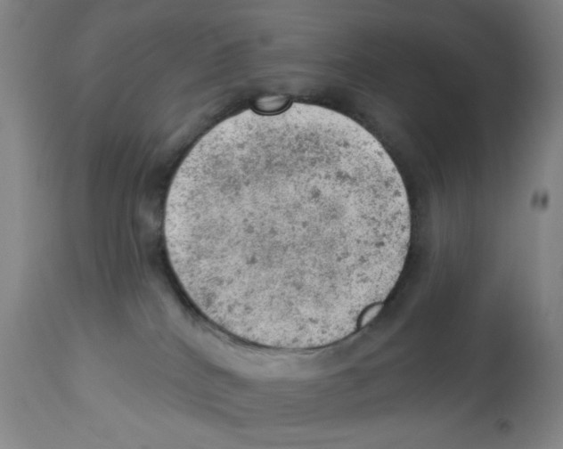 X0000112780040200909171347