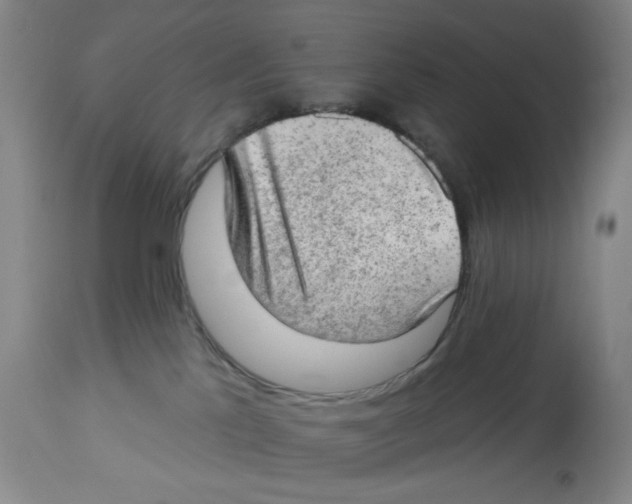 X0000112780041200909171347