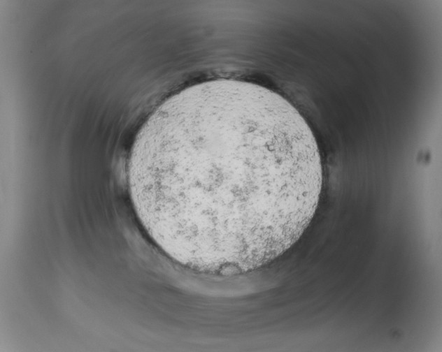 X0000112780042200909171347