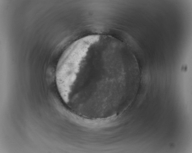 X0000112780043200909171347