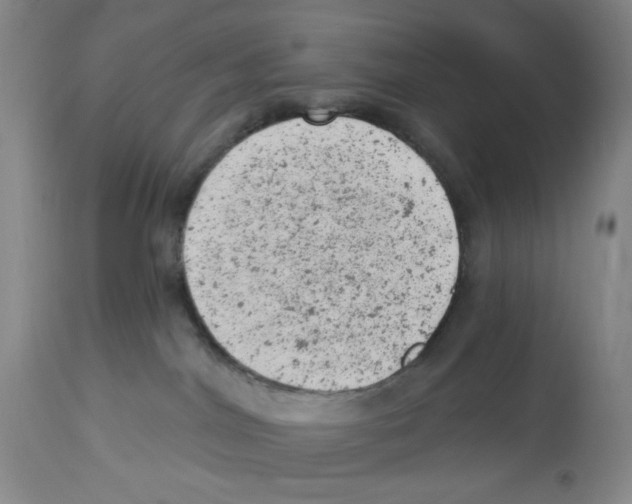 X0000112780044200909171347