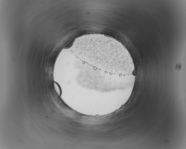 X0000112780045200909171347