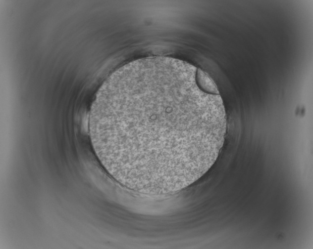 X0000112780046200909171347