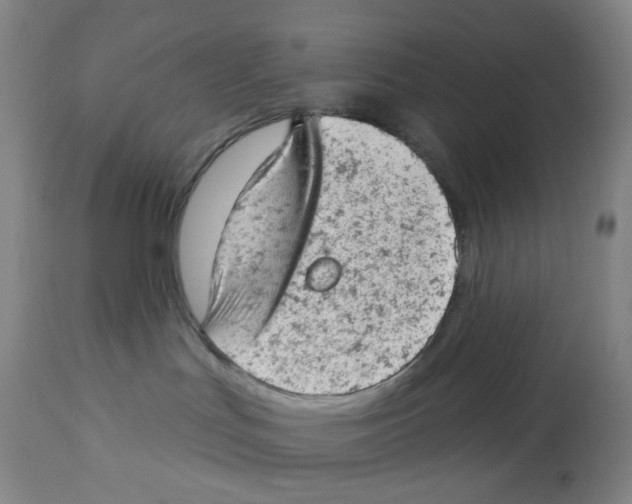 X0000112780047200909171347