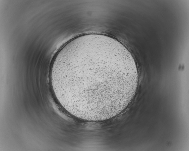 X0000112780050200909171346