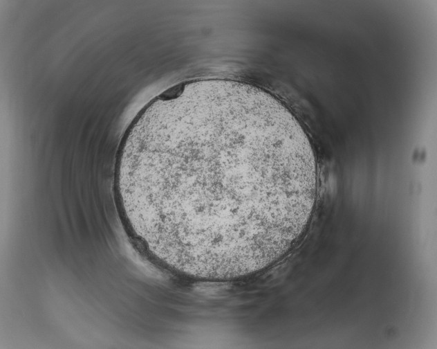 X0000112780051200909171346