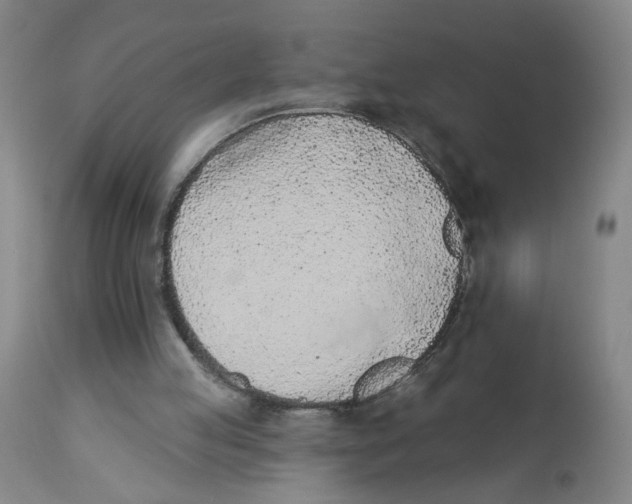 X0000112780053200909171346