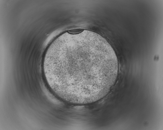 X0000112780054200909171346