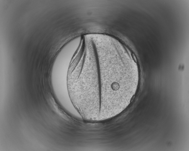 X0000112780057200909171346