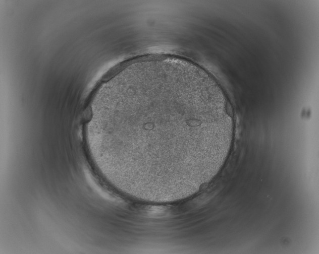 X0000112780060200909171346