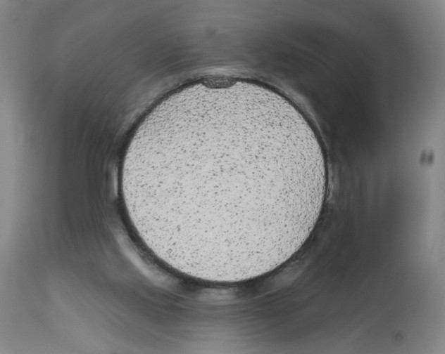 X0000112780061200909171346