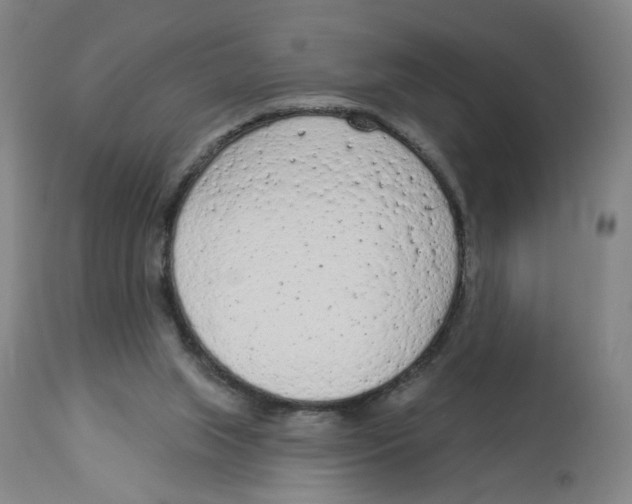 X0000112780063200909171346