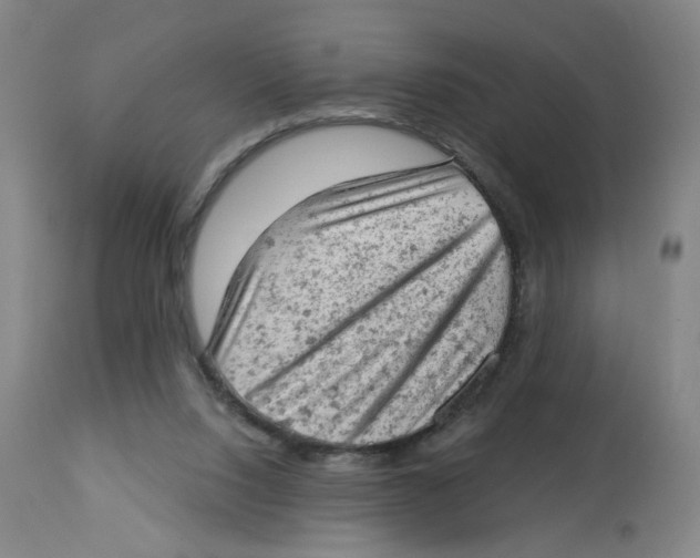 X0000112780064200909171346