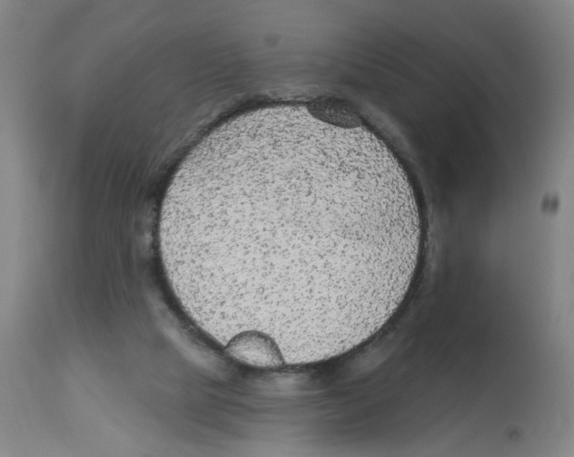 X0000112780065200909171346