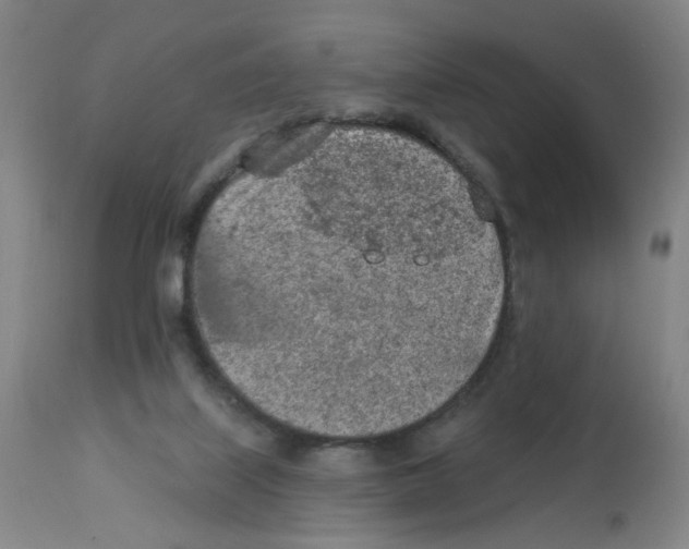 X0000112780067200909171346