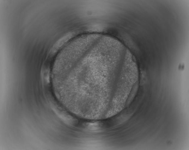 X0000112780068200909171346