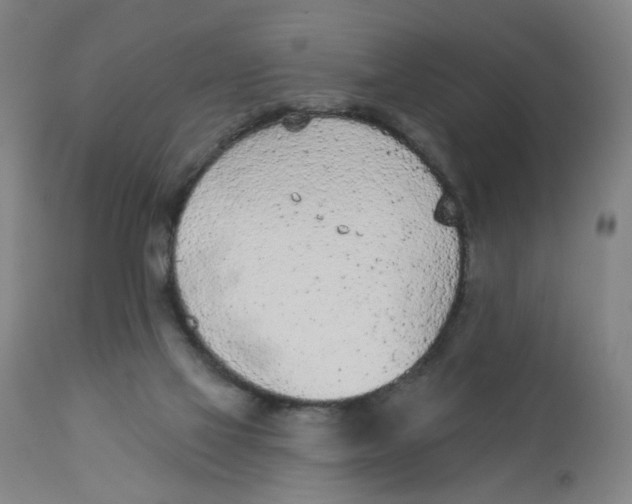 X0000112780069200909171346