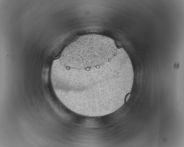 X0000112780070200909171346